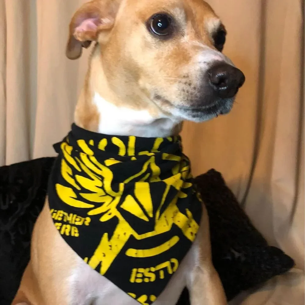Upcycled T-Shirt Dog Bandana | Eco Friendly Graphic Pet Scarf | Choose Style